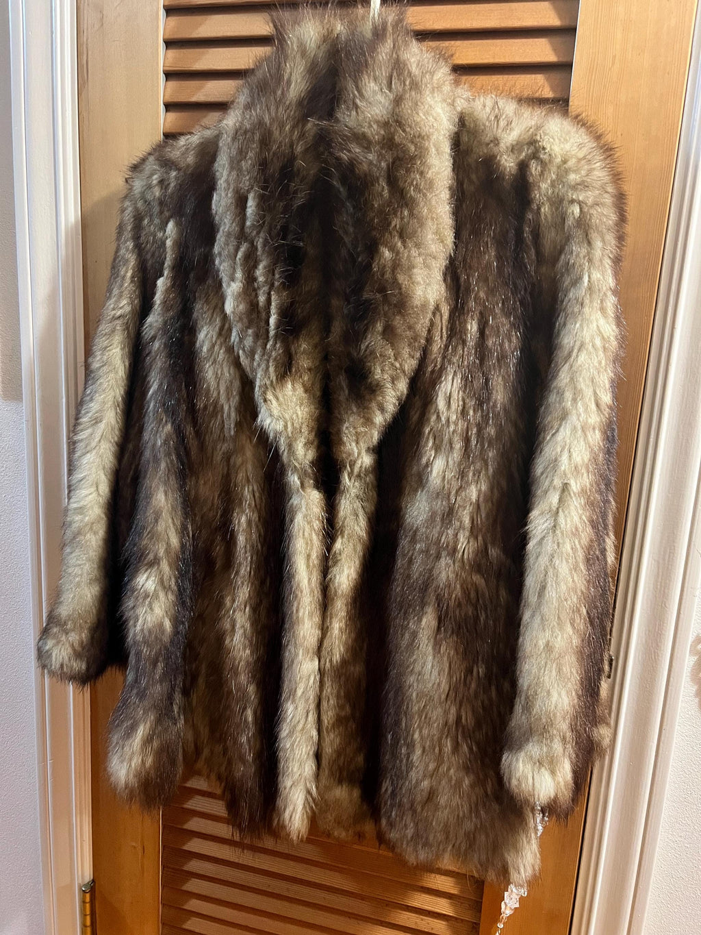 Brown Possible Raccoon Fur Coat