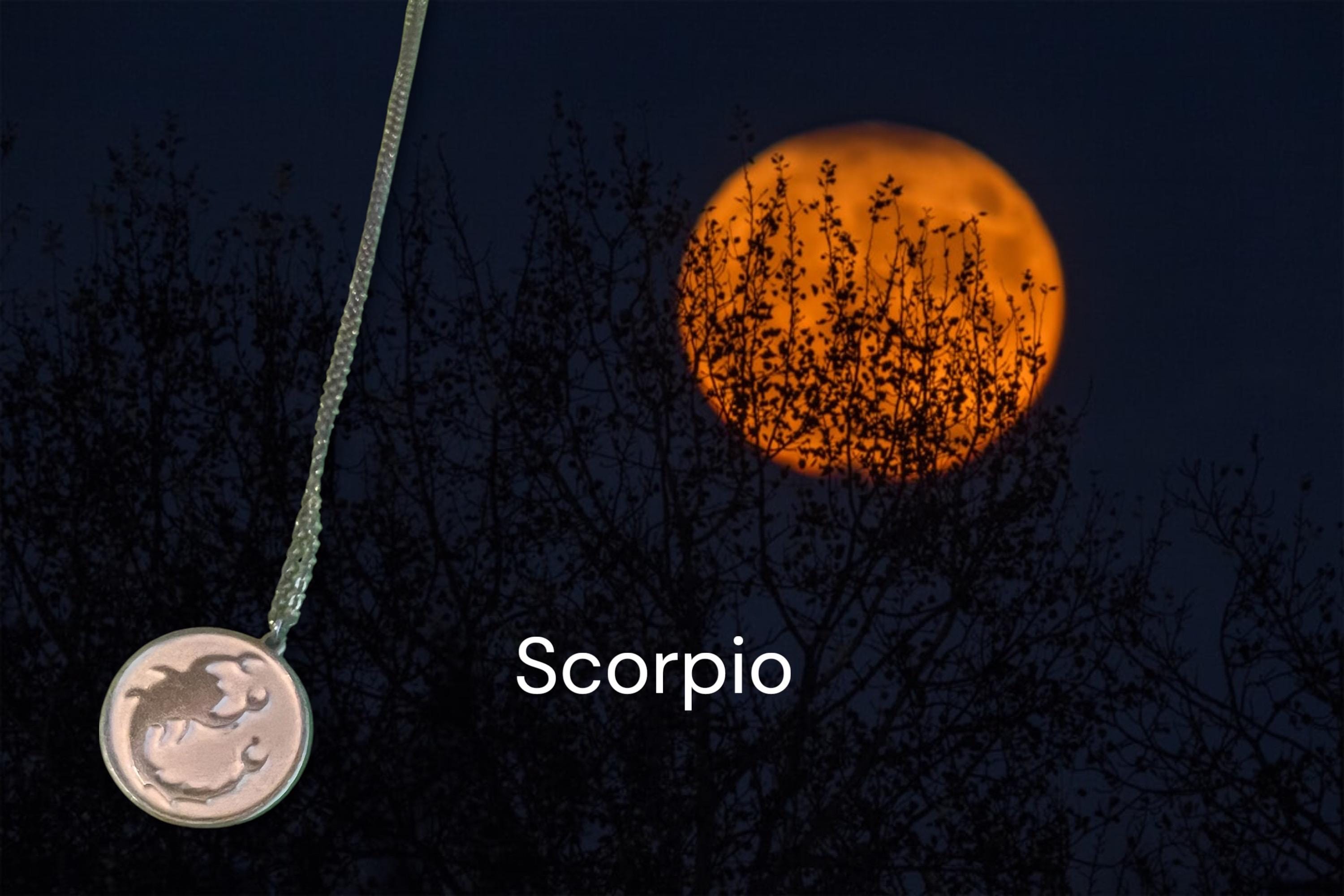 Scorpio zodiac necklace makes a perfect gift for astrology lovers and collectors of retro jewelry.