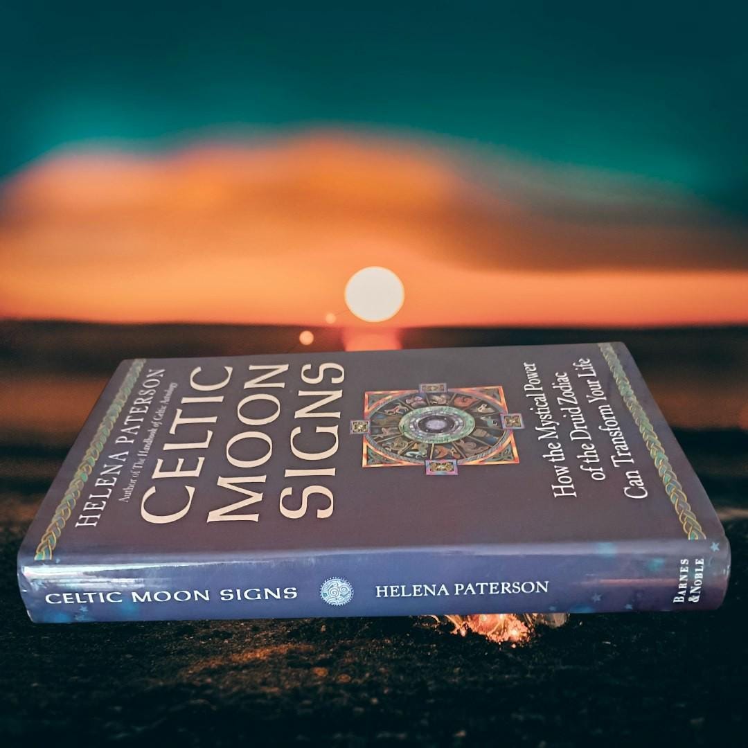 Celtic moon signs by helena paterson hardcover astrology druid zodiac mystic...
