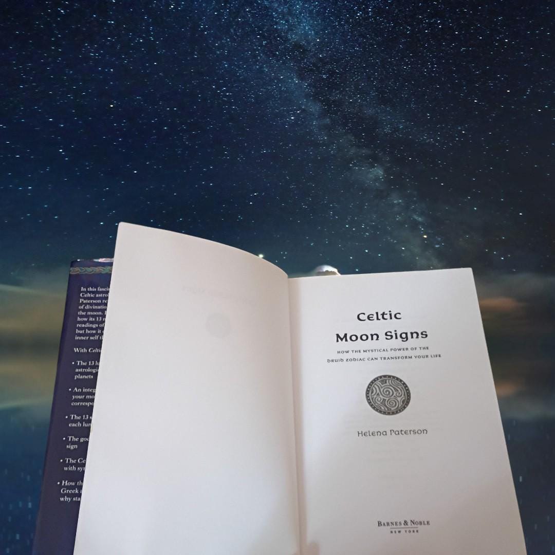 Celtic moon signs by helena paterson hardcover astrology druid zodiac mystic...