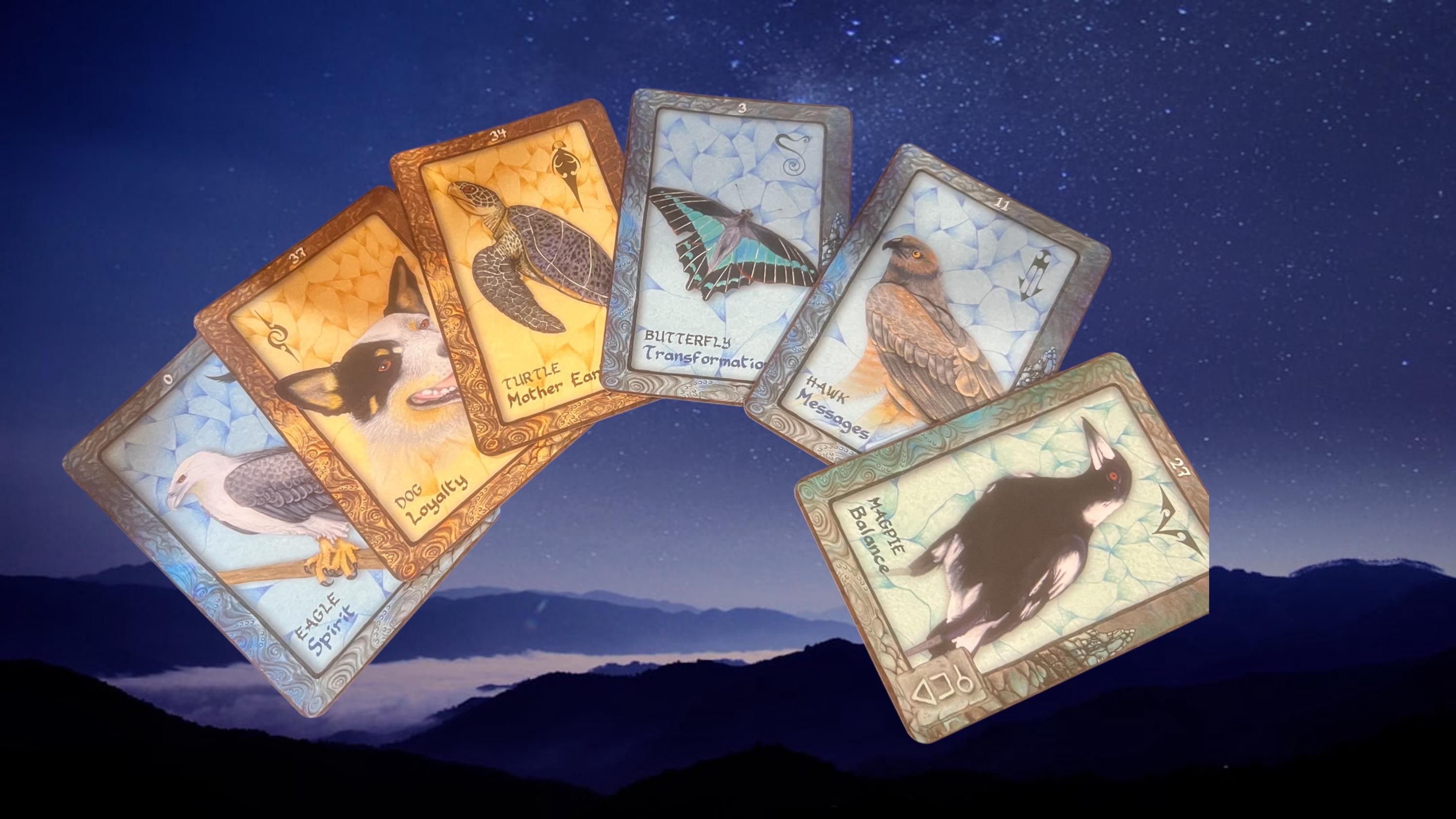 Animal Dreaming Oracle Cards by Scott Alexander King • 45 Card Deck & Guidebook • Blue Angel Publishing • Spirit Animal Oracle