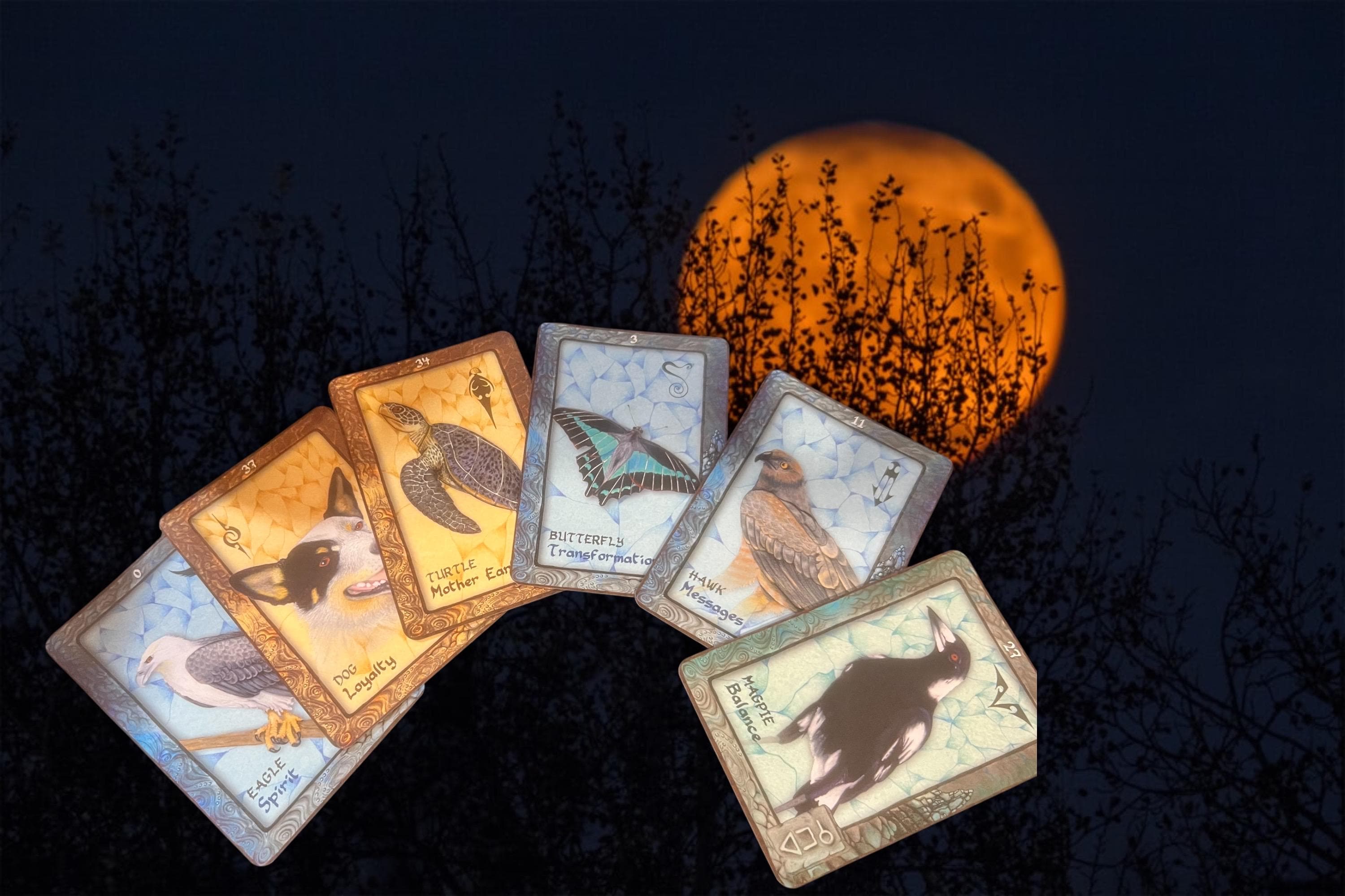 Animal Dreaming Oracle Cards by Scott Alexander King • 45 Card Deck & Guidebook • Blue Angel Publishing • Spirit Animal Oracle