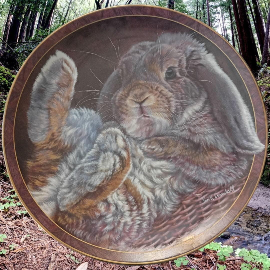 Bradford exchange bunny tales plate "footloose" by vivi crandall 1997 limited