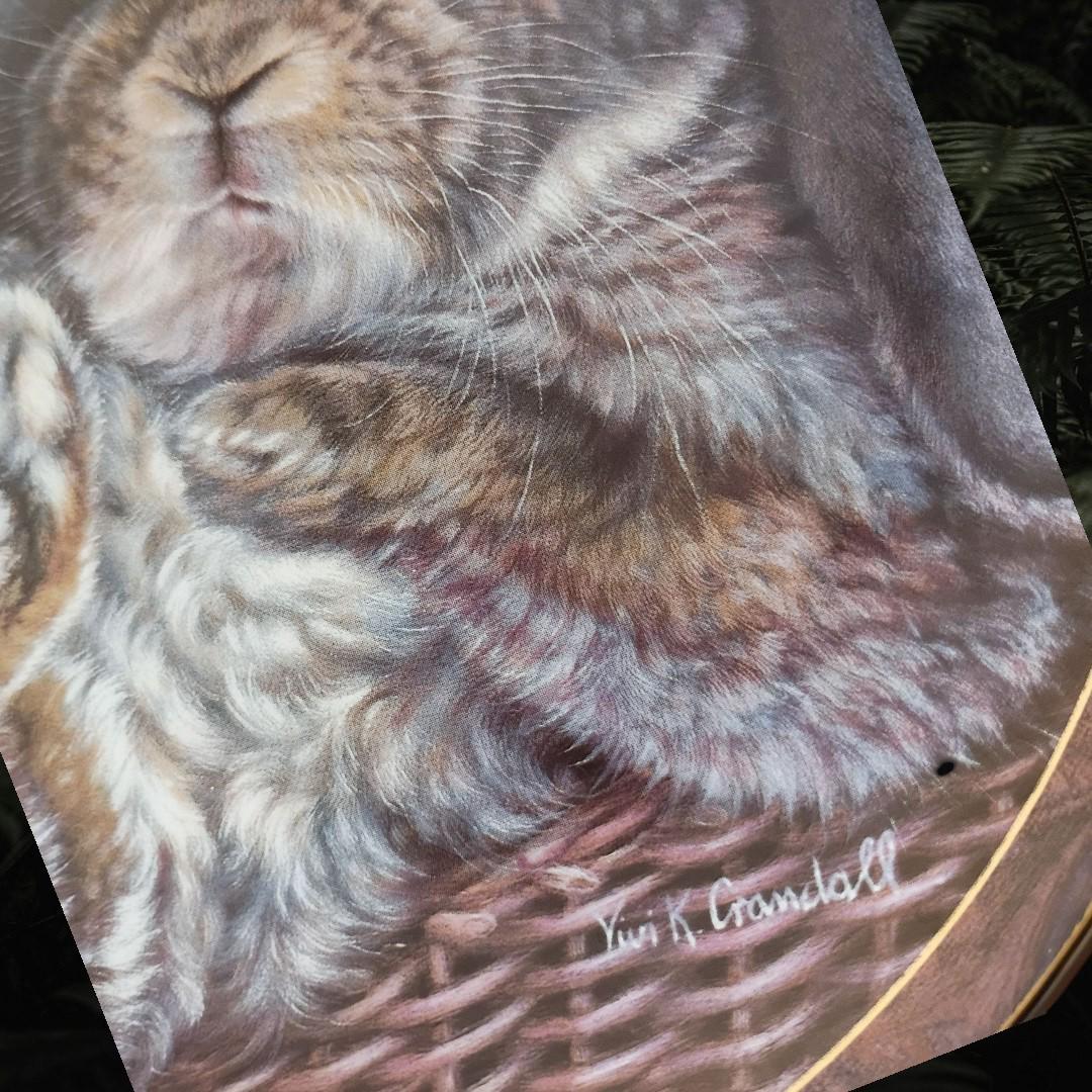 Bradford exchange bunny tales plate "footloose" by vivi crandall 1997 limited