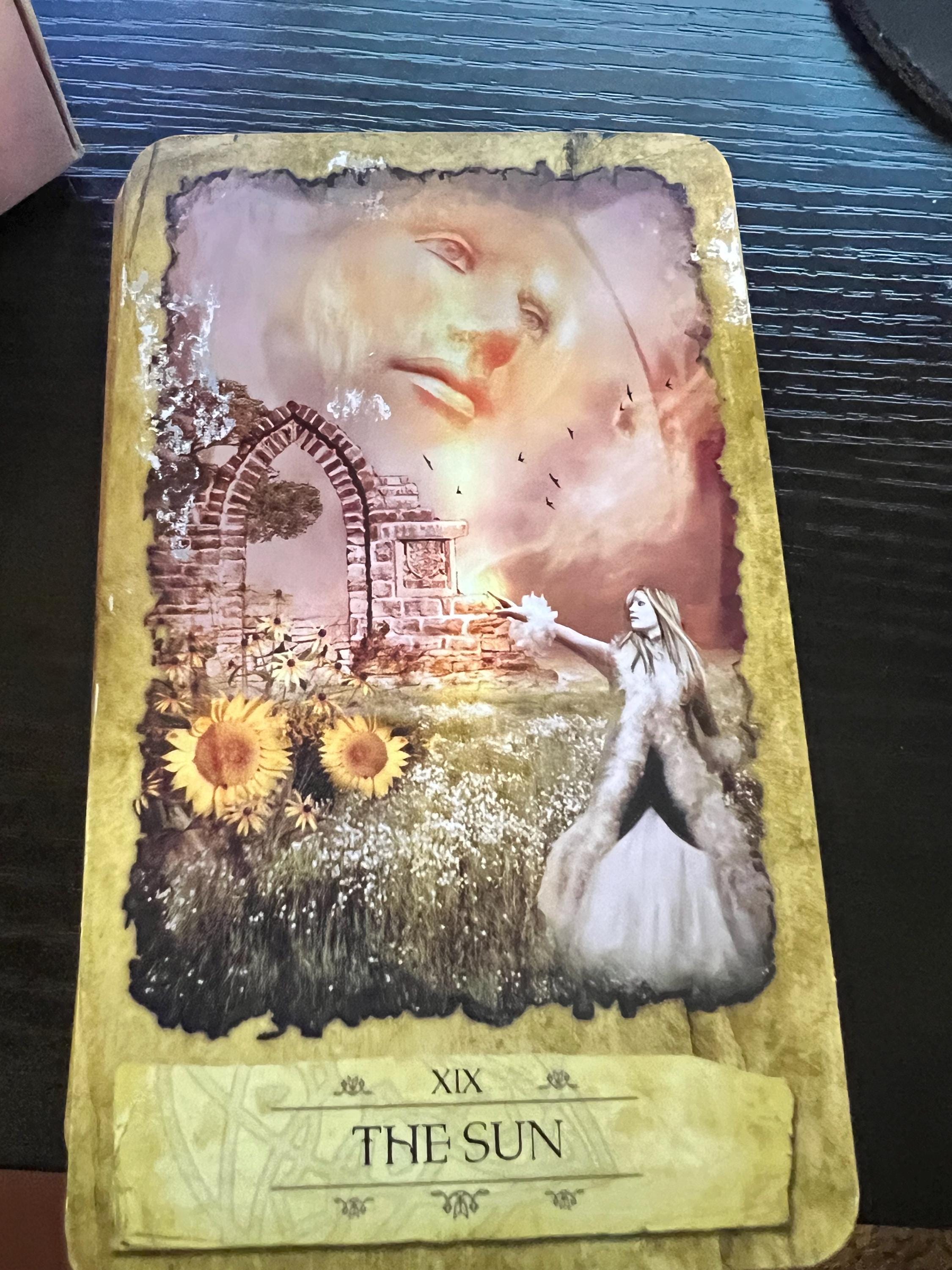 Mystic Dreamer Tarot Deck & Guidebook by Barbara Moore | 78 Cards, Dreamer’s Journal, OOP Llewellyn Tarot