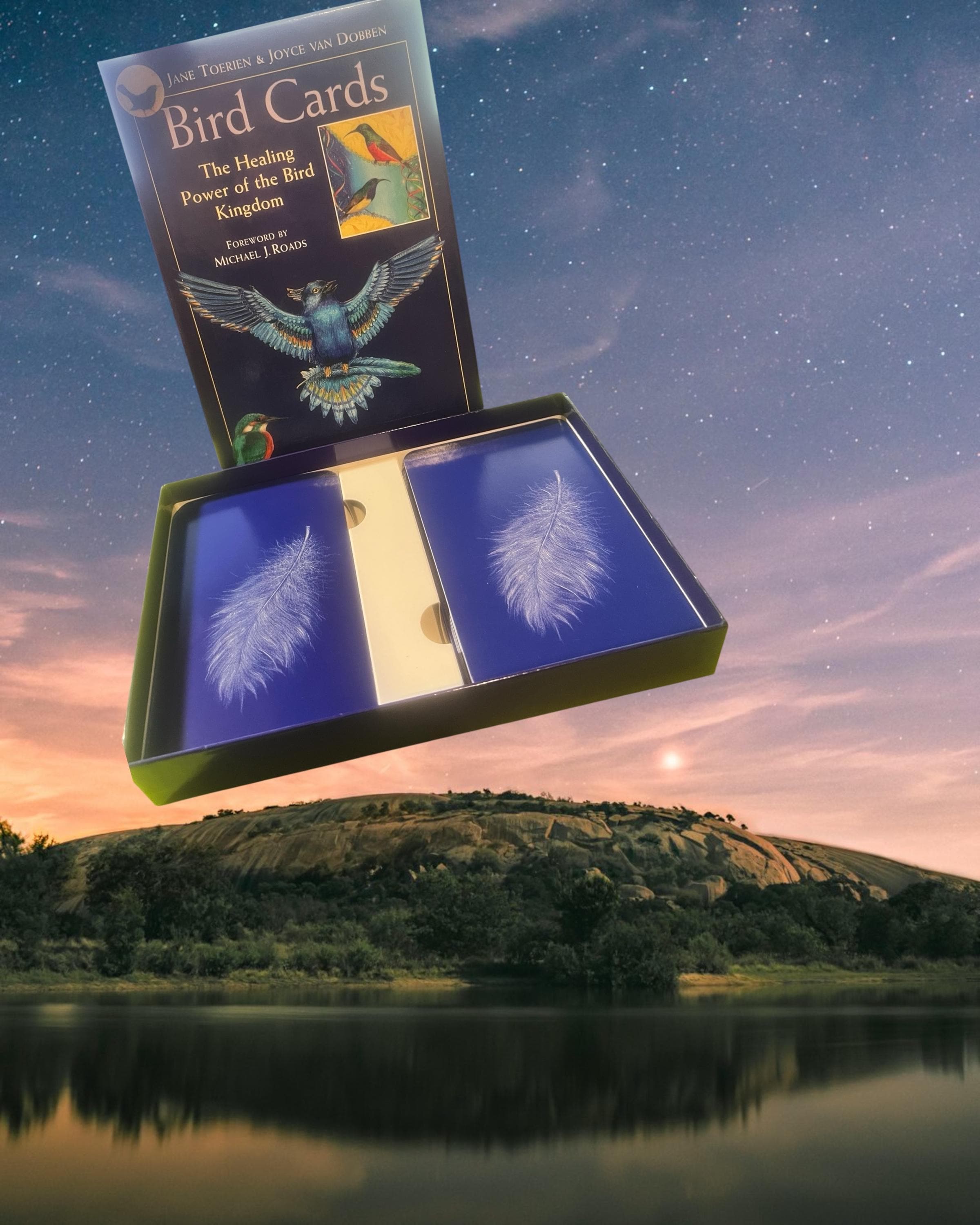Bird Cards Oracle Deck | The Healing Power of the Bird Kingdom | 55 Cards  Guidebook by Jane Toerien  Joyce van Dobben | OOP Divination Set