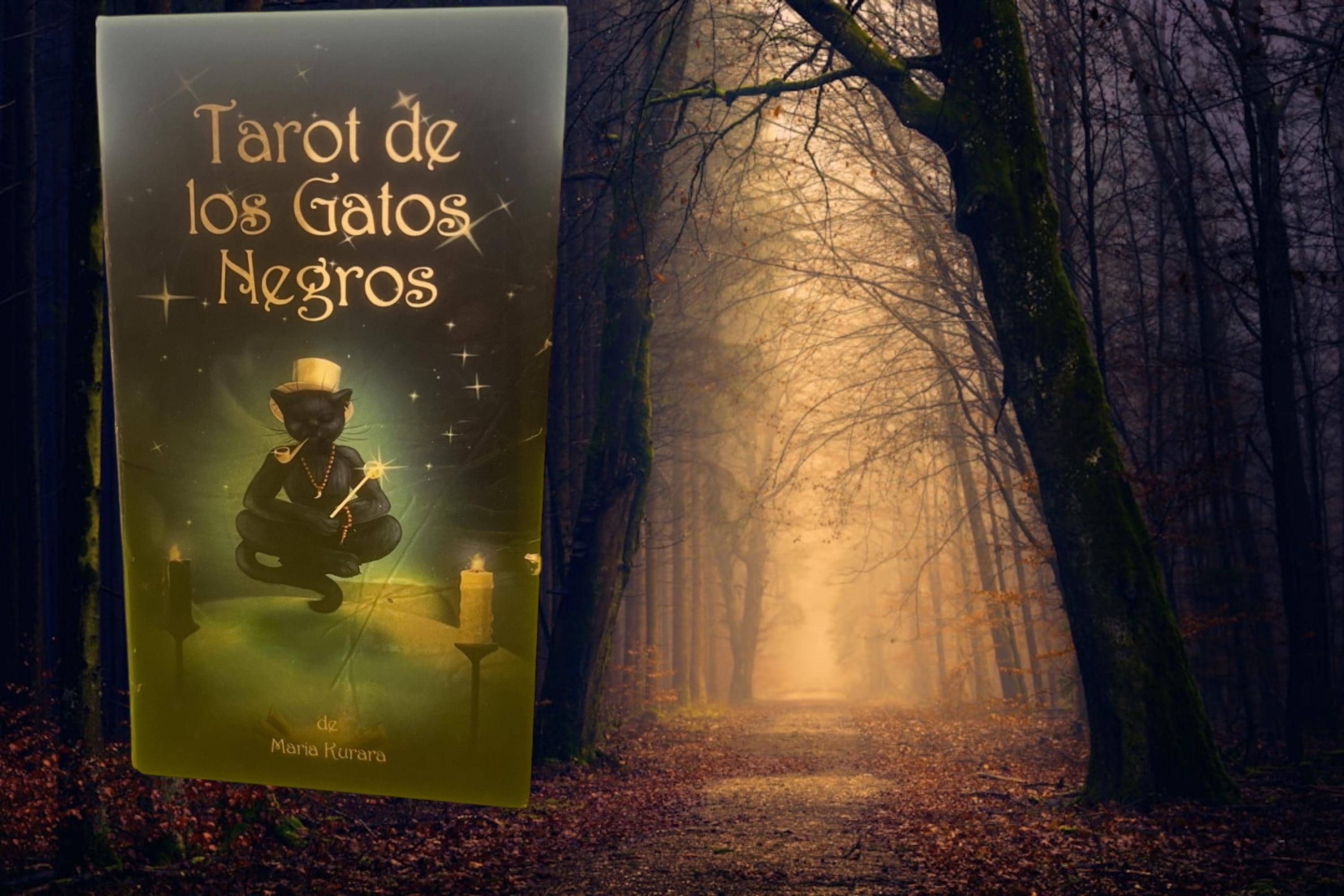 Black cats tarot deck – 78 cards + guidebook – lo scarabeo – mystical cat divination made in italy