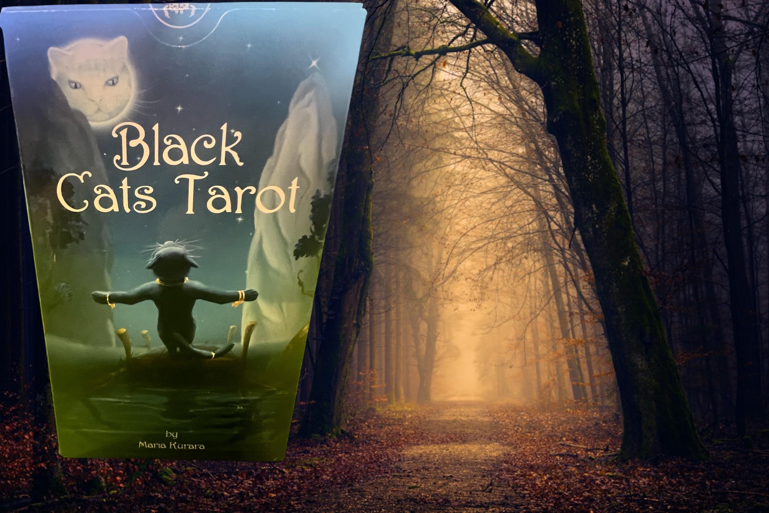 Black cats tarot deck – 78 cards + guidebook – lo scarabeo – mystical cat divination made in italy