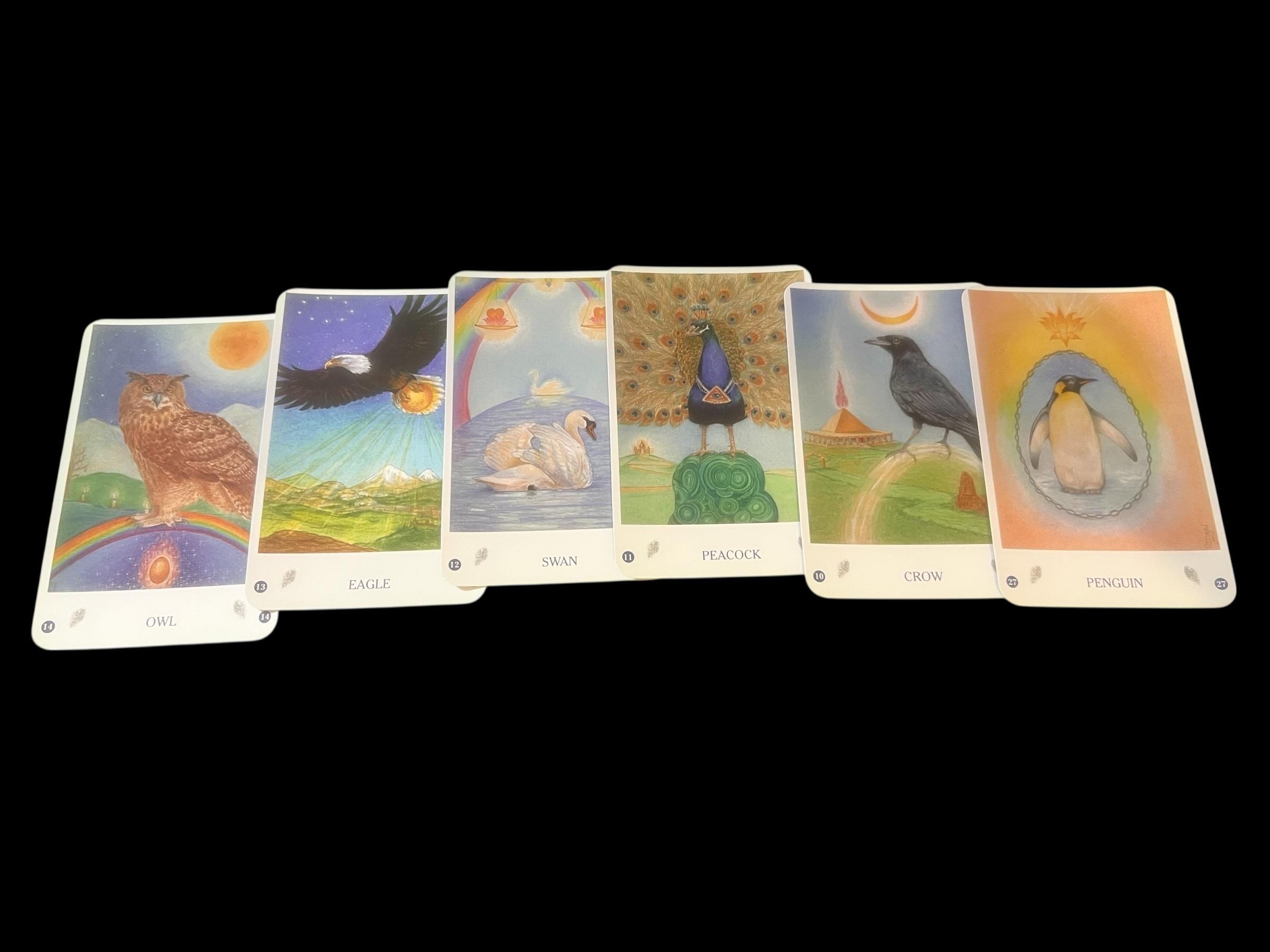 Bird Cards Oracle Deck | The Healing Power of the Bird Kingdom | 55 Cards  Guidebook by Jane Toerien  Joyce van Dobben | OOP Divination Set