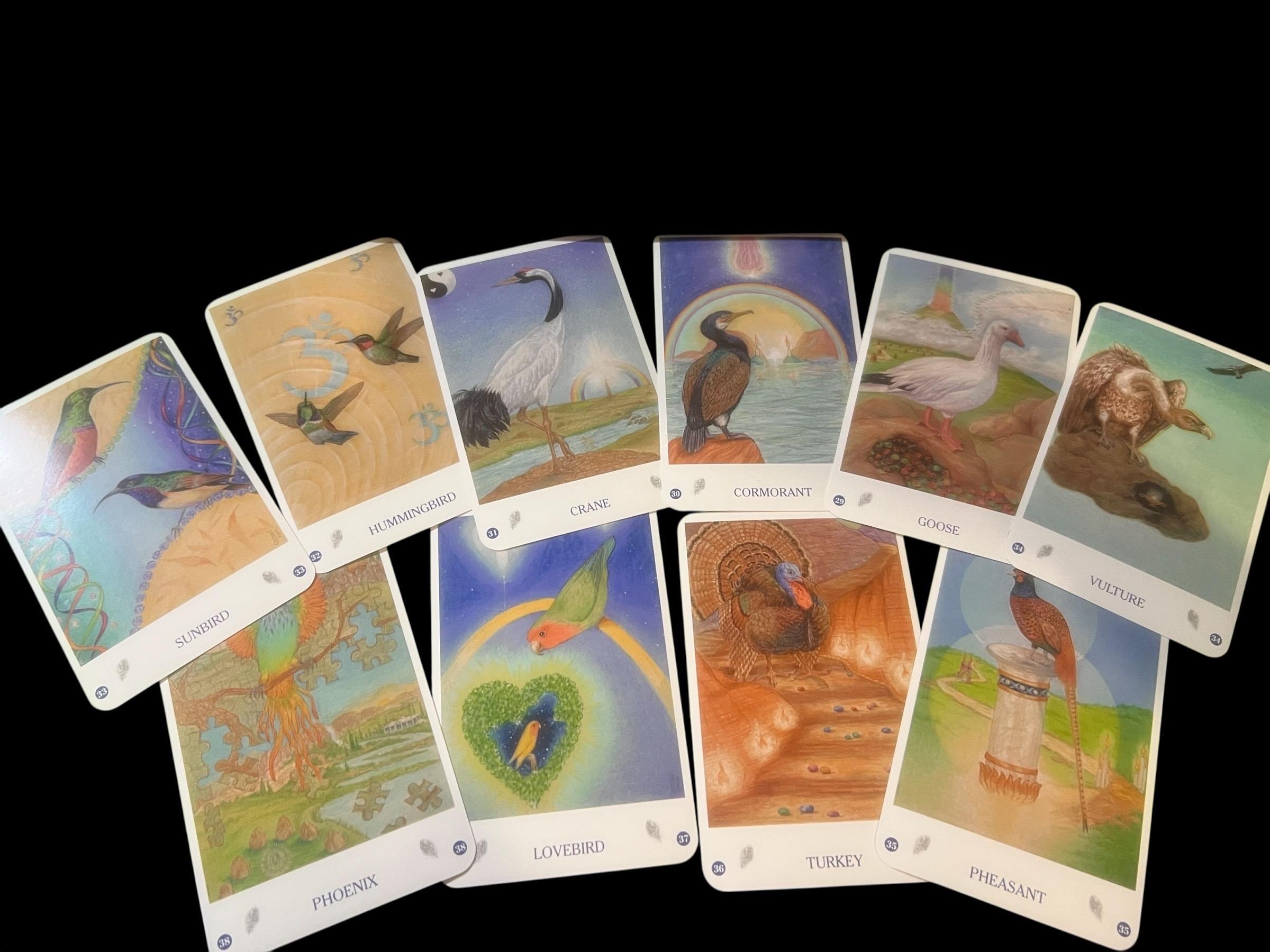 Bird Cards Oracle Deck | The Healing Power of the Bird Kingdom | 55 Cards  Guidebook by Jane Toerien  Joyce van Dobben | OOP Divination Set