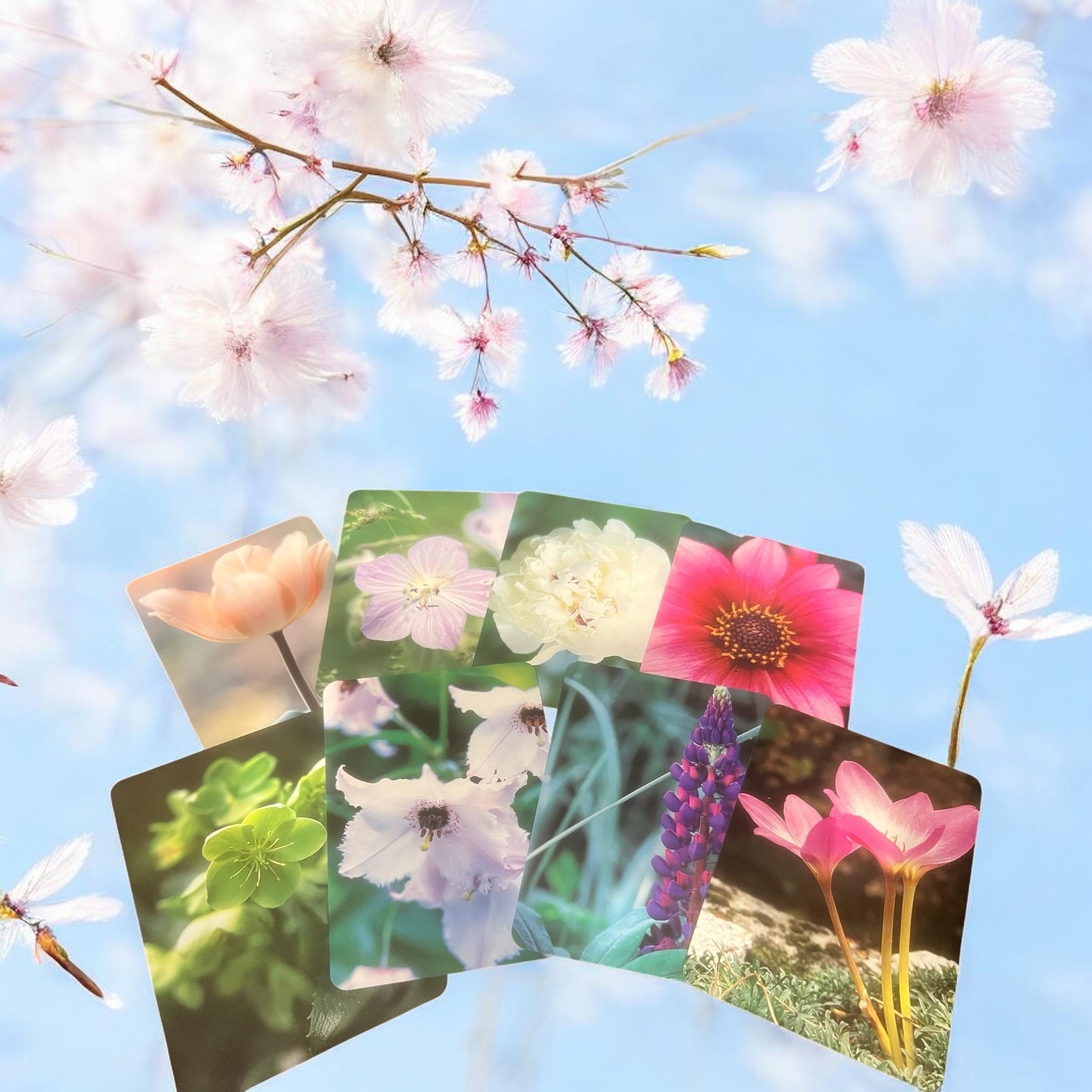 Flower Spirit Cards by Melanie Eclare – Floral Oracle Affirmation Deck with Guidebook OOP