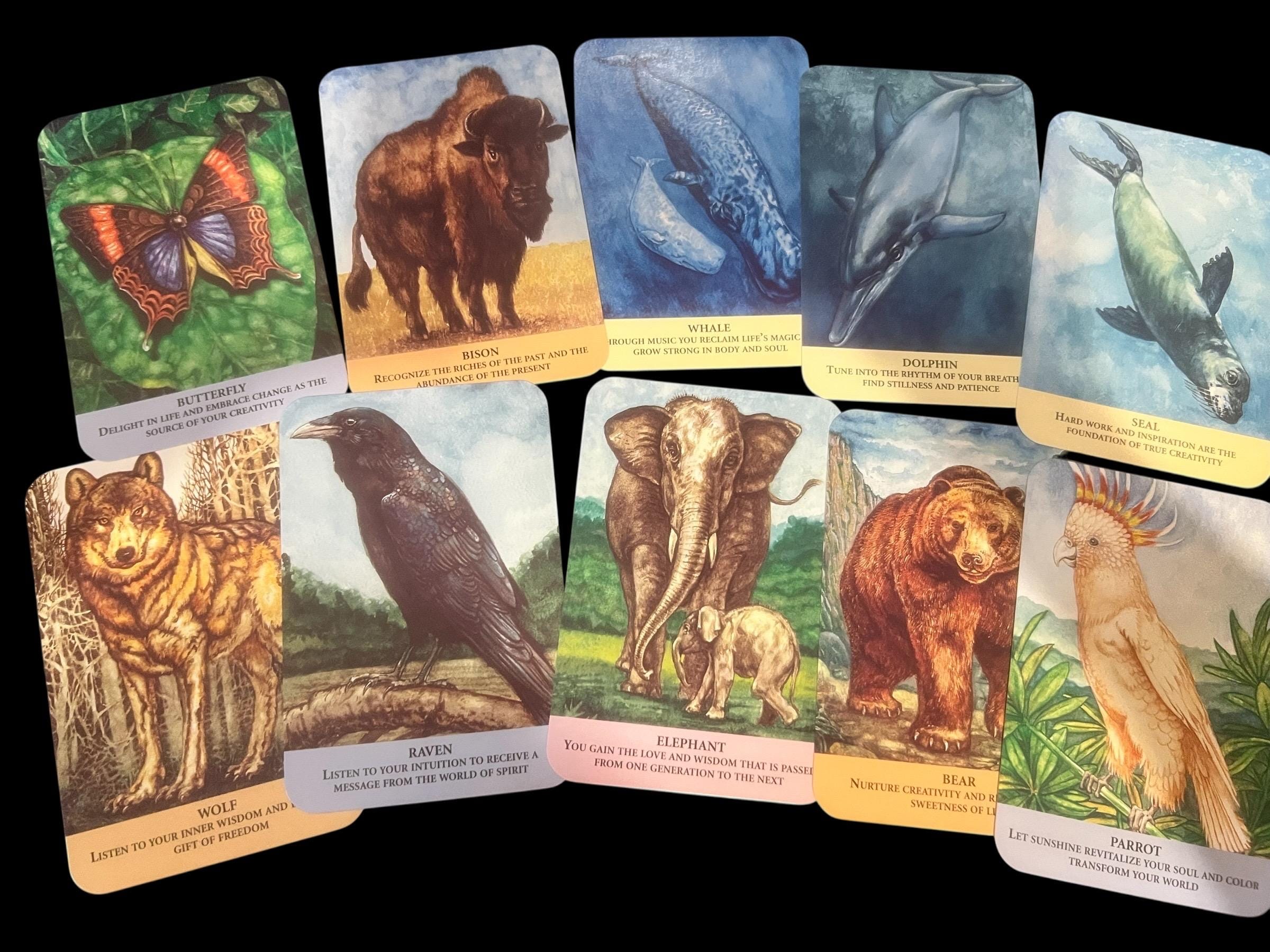 Animal Messages Oracle Cards & Guidebook by Susie Green – 52 Card Deck CICO Books OOP