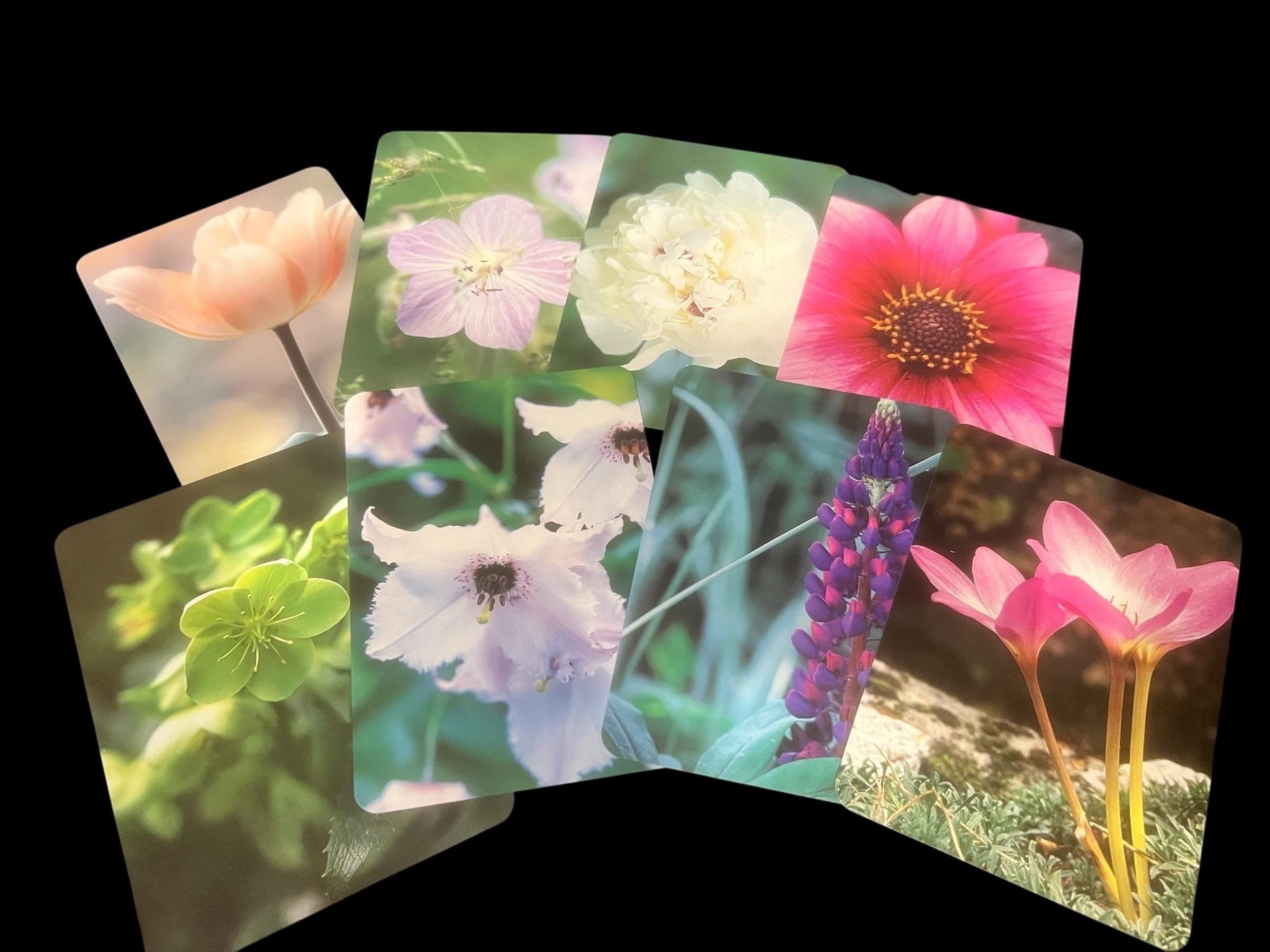 Flower Spirit Cards by Melanie Eclare – Floral Oracle Affirmation Deck with Guidebook OOP