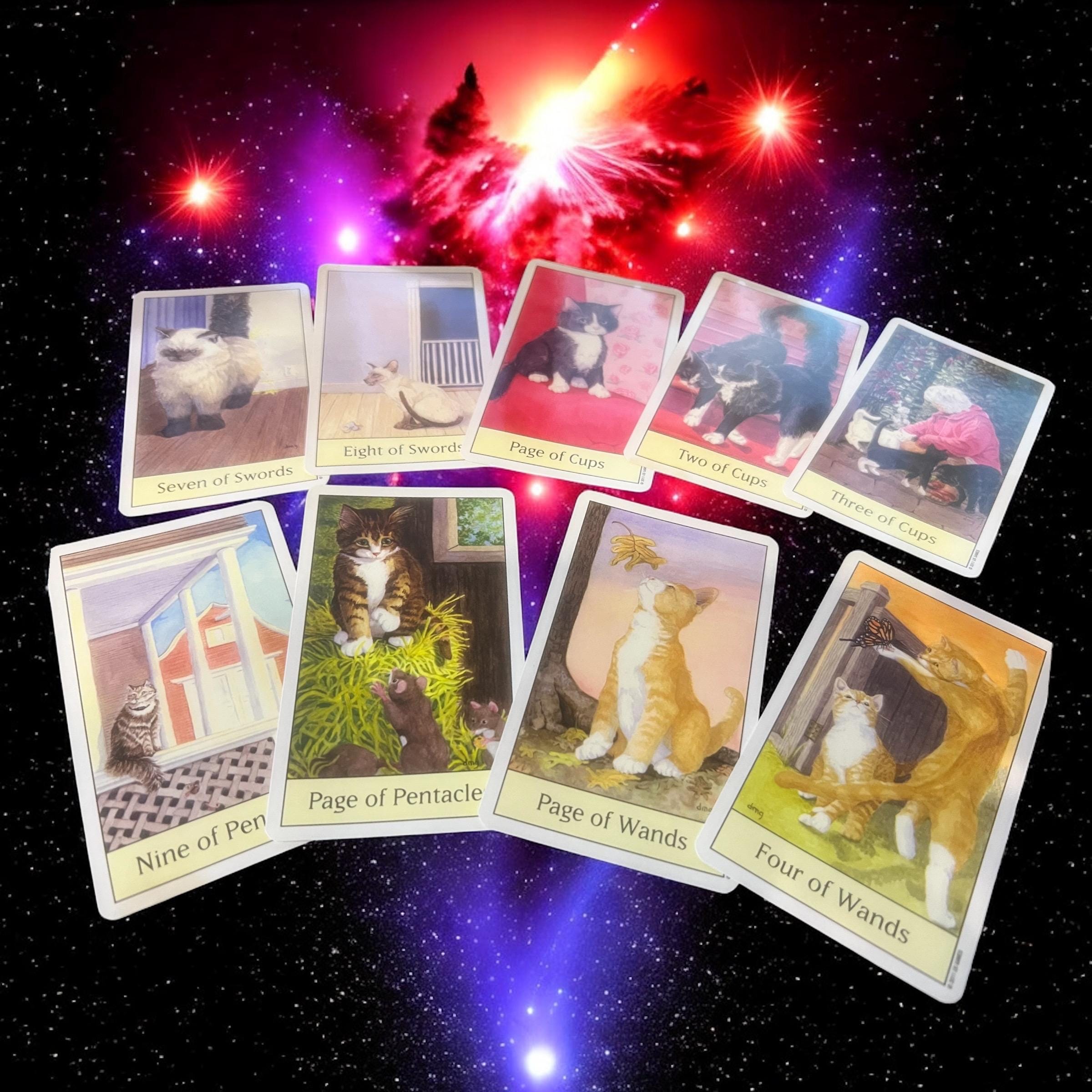 Cat’s Eye Tarot Deck  by Debra M. Givin, DVM (2011)  Complete 78 Cards and Guidebook  U.S. Games Systems