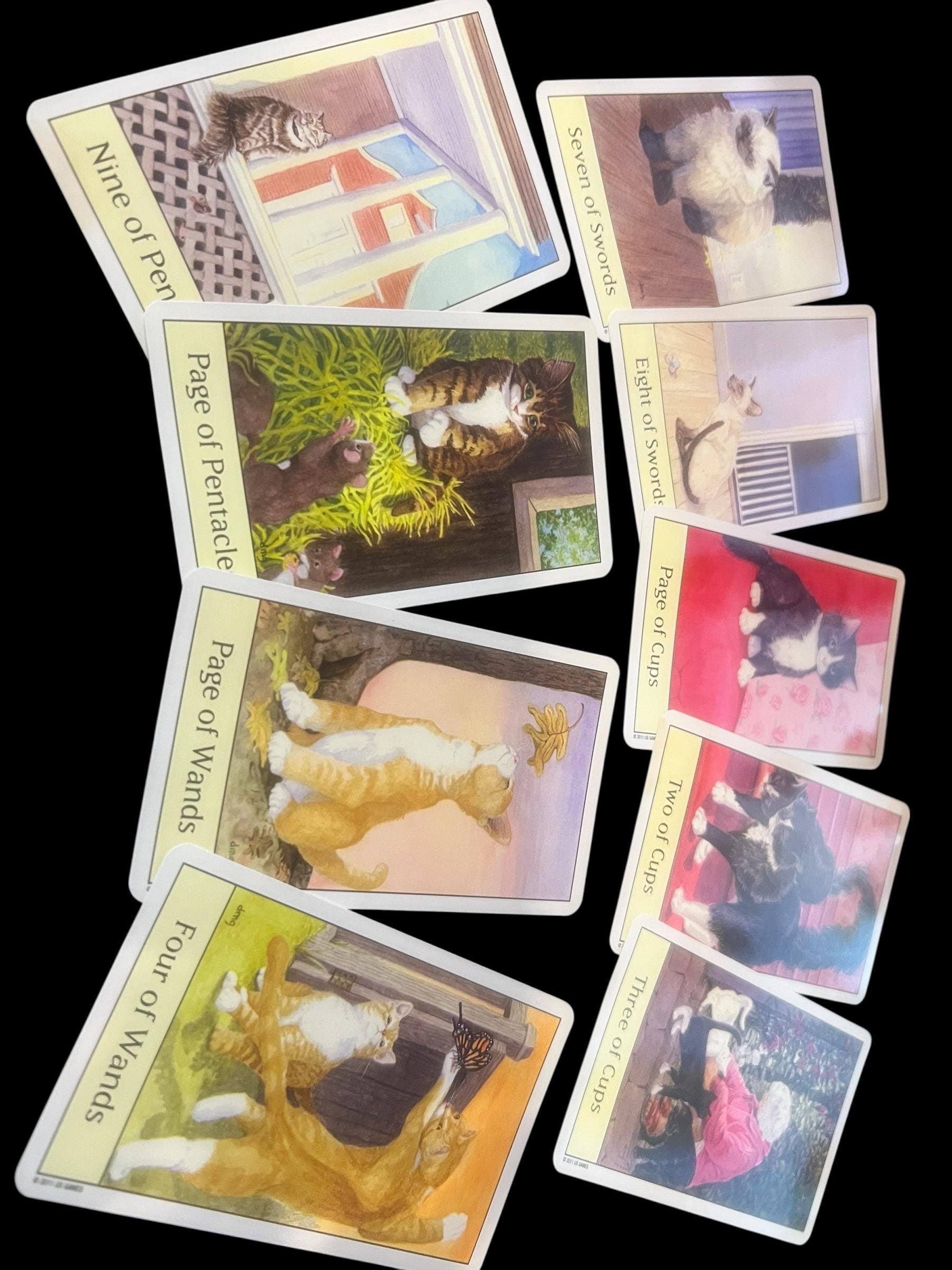 Cat’s Eye Tarot Deck  by Debra M. Givin, DVM (2011)  Complete 78 Cards and Guidebook  U.S. Games Systems