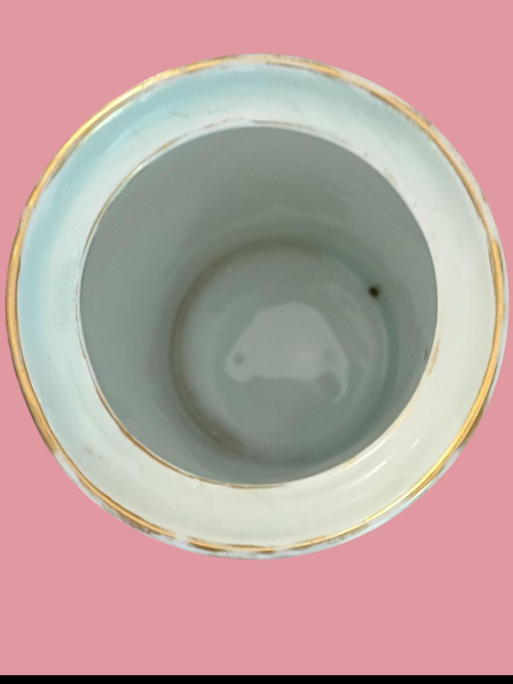 Antique rosenthal selb bavaria porcelain vase – hand painted pink wild roses...