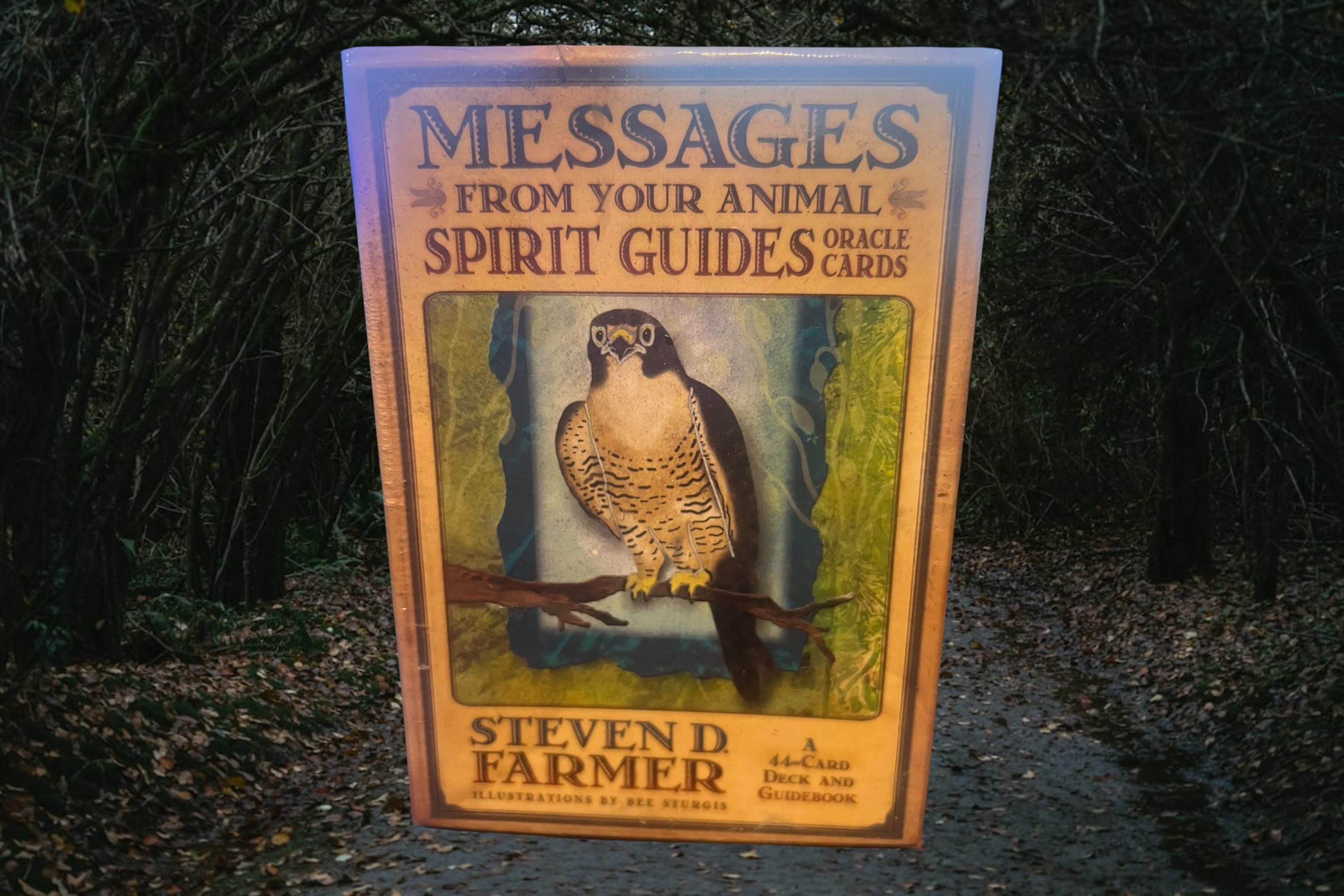 Messages from Your Animal Spirit Guides Oracle Cards | Steven D. Farmer | Sealed Deck + Guidebook | Hay House