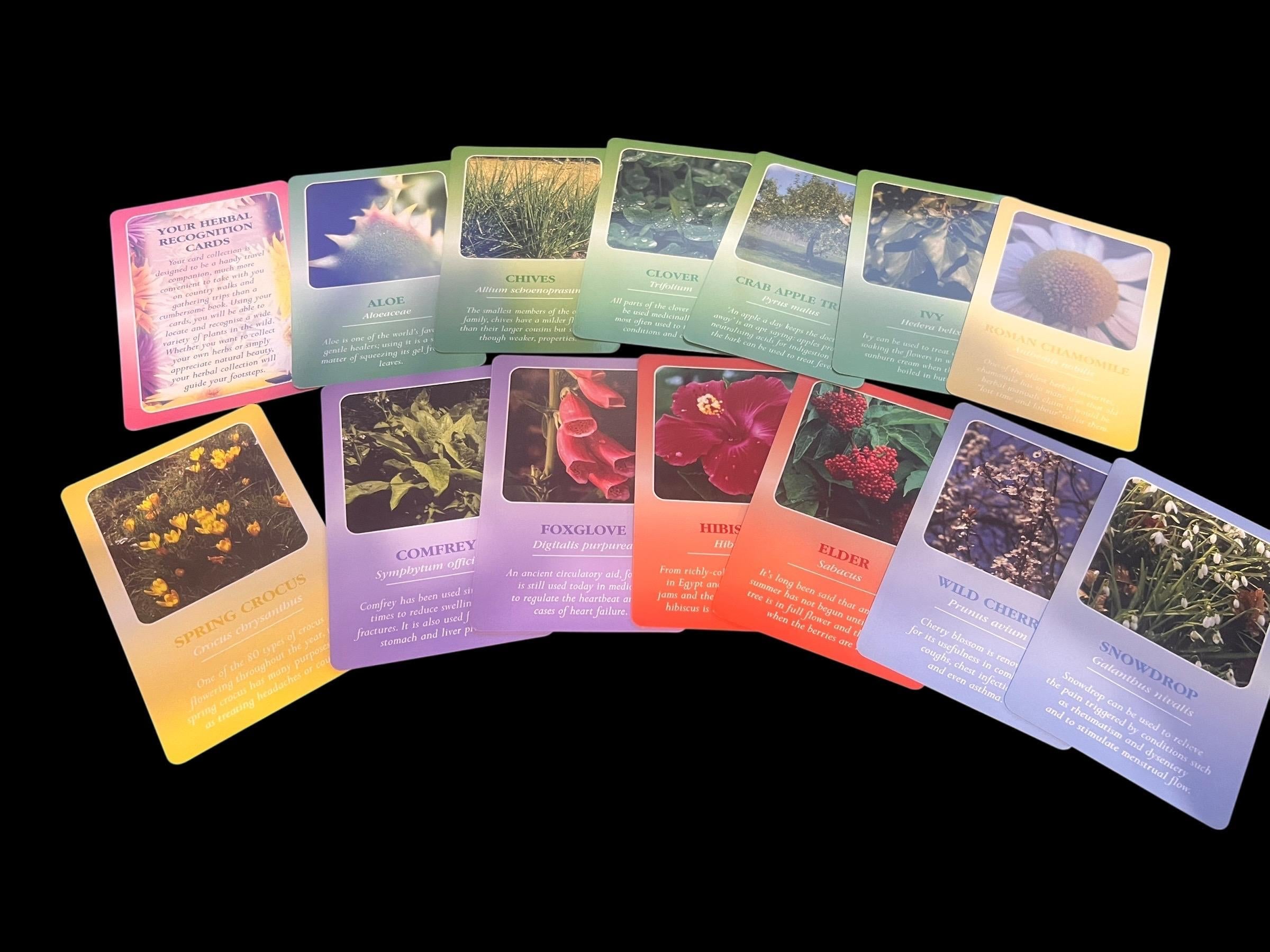 Herbal recognition cards by agm urania 2008 49 laminated botanical identification cards