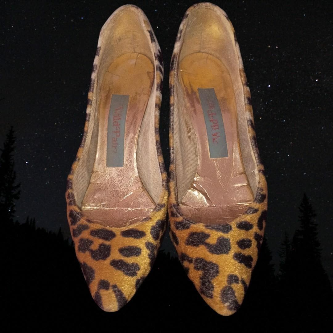wild pair size 6 leopard print heels - chic & stylish - great condition!