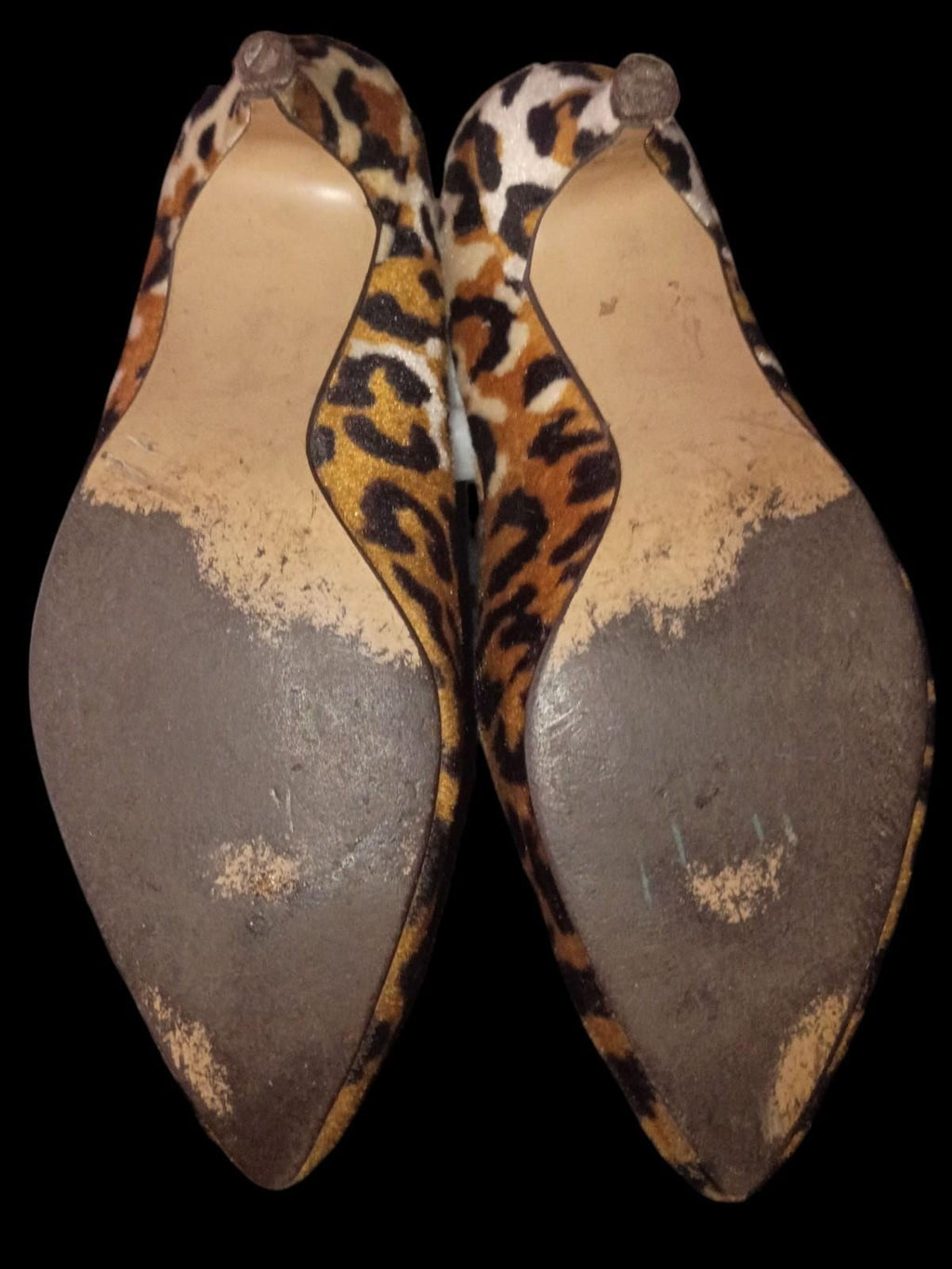 wild pair size 6 leopard print heels - chic & stylish - great condition!